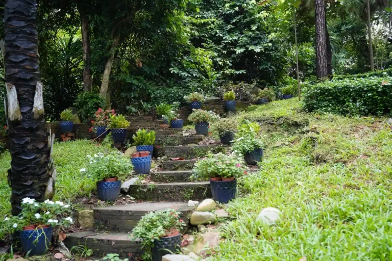 Aménager un jardin en pente : en faire un atout
