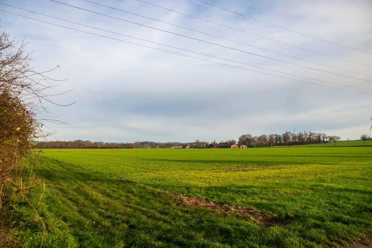 Champ cultivé verdoyant en milieu rural, avec une ferme et des arbres au loin sous un ciel nuageux
