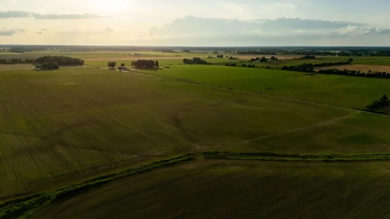 Chambre d&rsquo;agriculture : rôle, missions et organisation du réseau