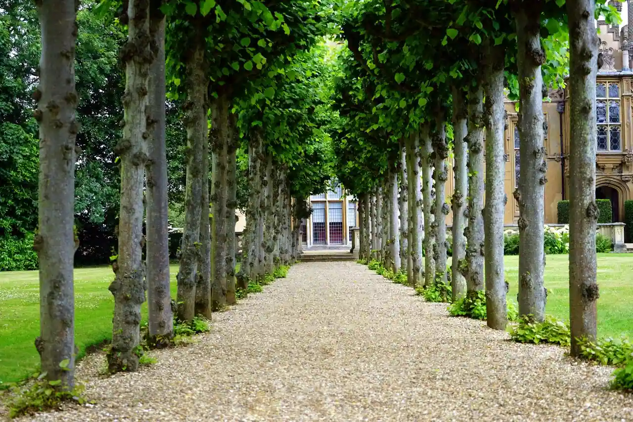Allée d'arbres alignés menant à une grande demeure, exemple de jardin paysager structuré