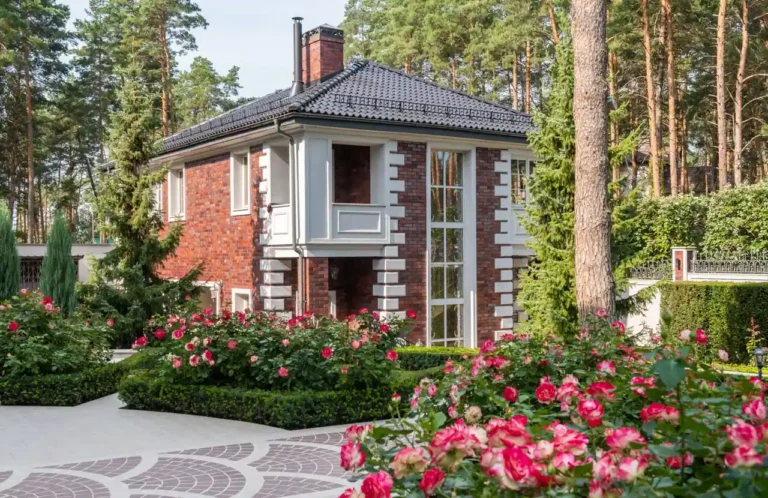 Jardin paysager : concevoir un extérieur composé et durable