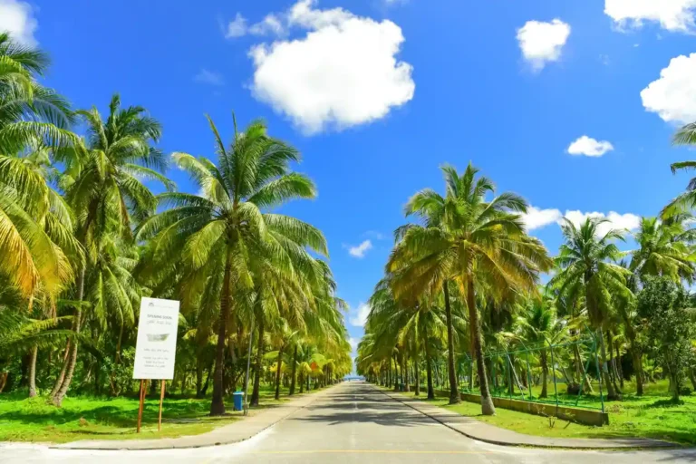 Location de voiture en Guadeloupe : le guide pour bien choisir
