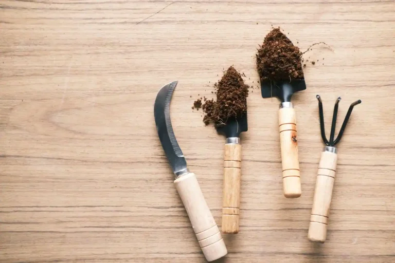 Outils de jardinage dans le Val-de-Marne : choisir et s&rsquo;équiper