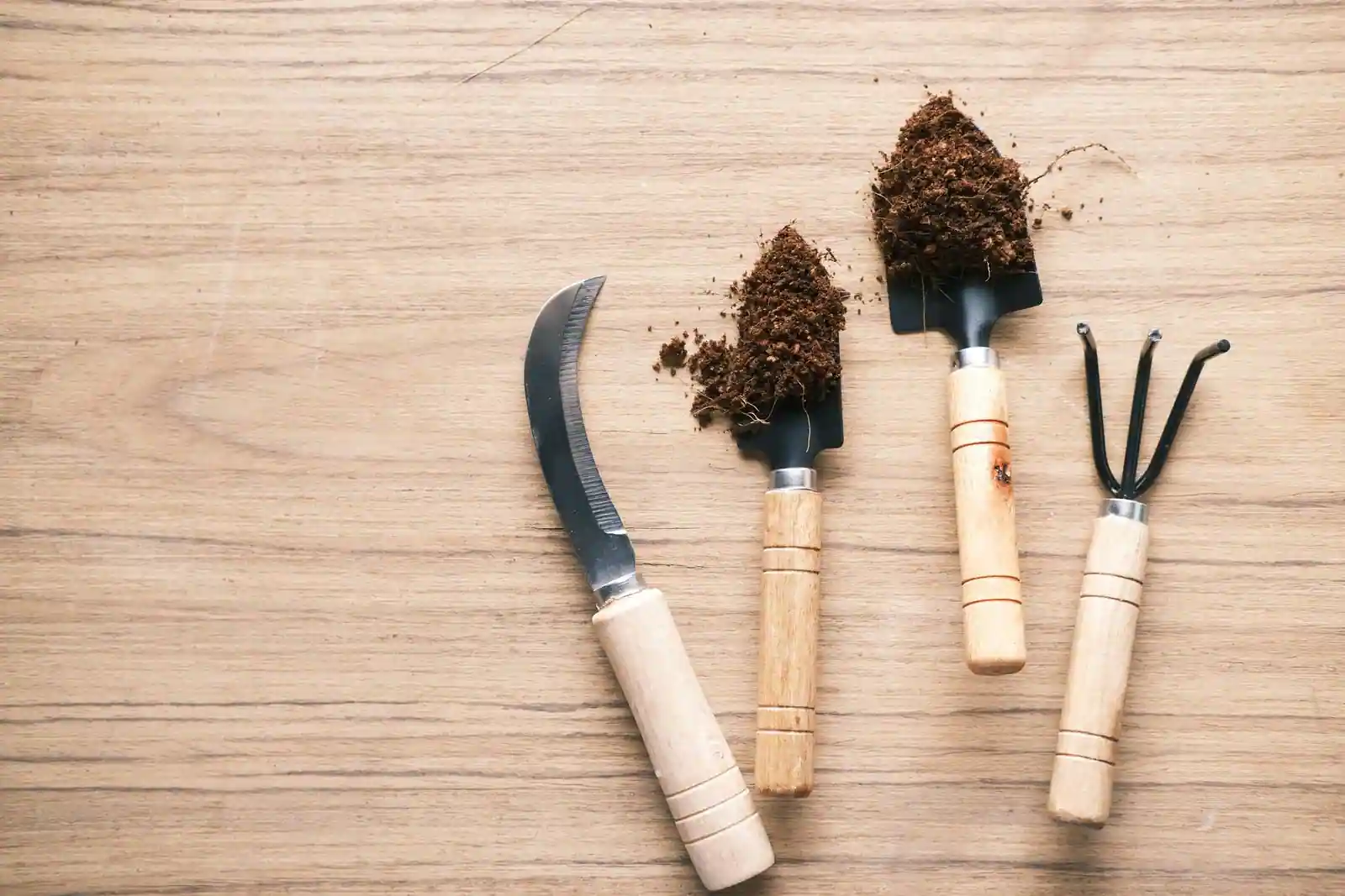 Outils de jardinage à main, serpette, transplantoirs et petite griffe, posés sur une table en bois.
