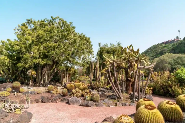 Le parc paysager Fernand Braudel, un jardin de bord de mer aux Sablettes