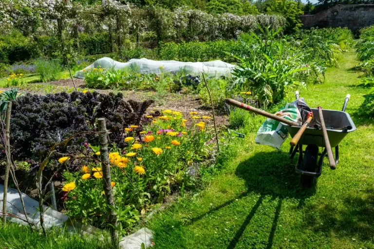 Calendrier du potager : les travaux qui rythment l&rsquo;année