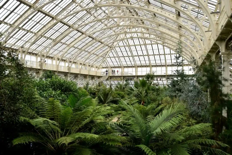 Jardin des Plantes de Rouen : ce que ce jardin conserve