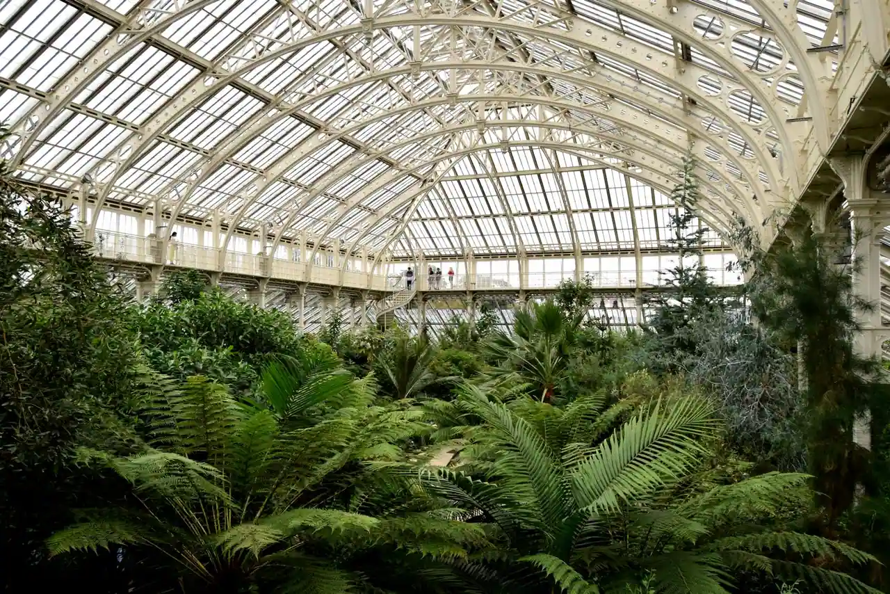 Grande serre en verre et métal d'un jardin botanique, avec fougères arborescentes sous la charpente