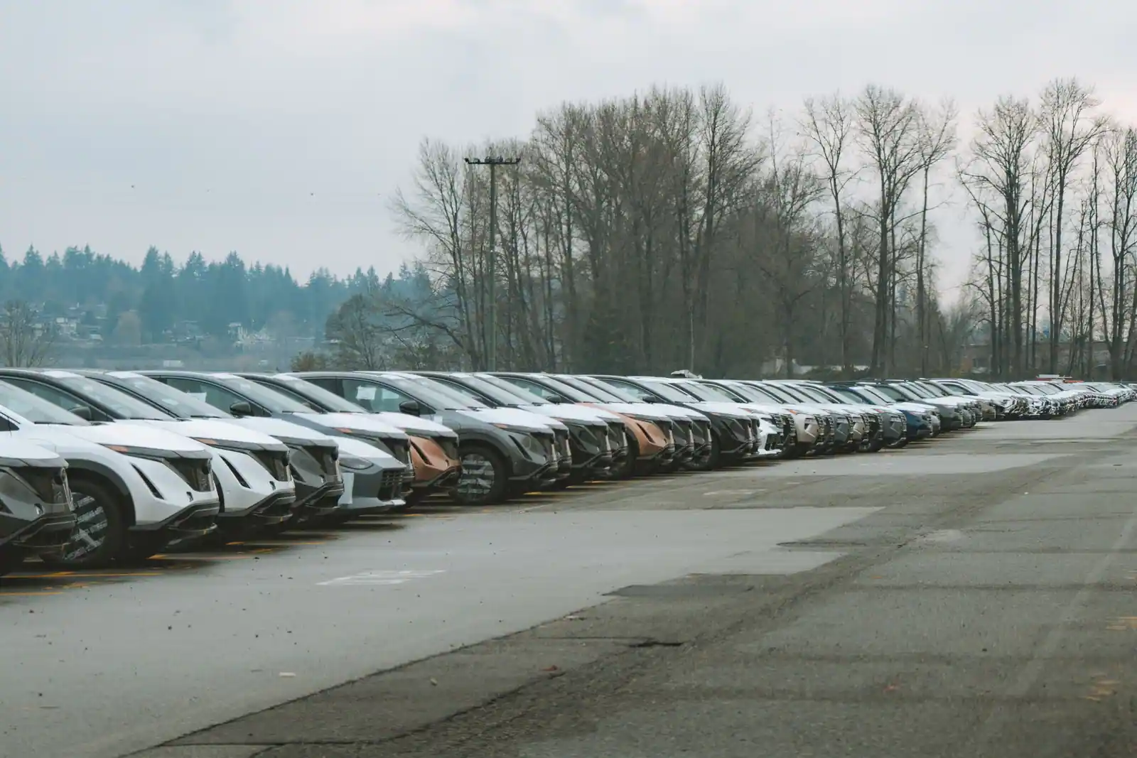 Longue rangée de véhicules alignés sur un vaste parking, par ciel couvert et arbres dénudés