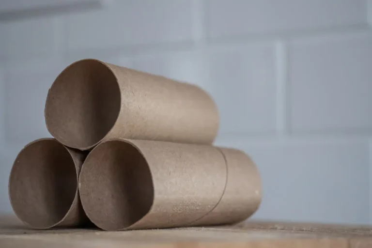 Bricolage en rouleau de papier toilette : ce que le carton tient