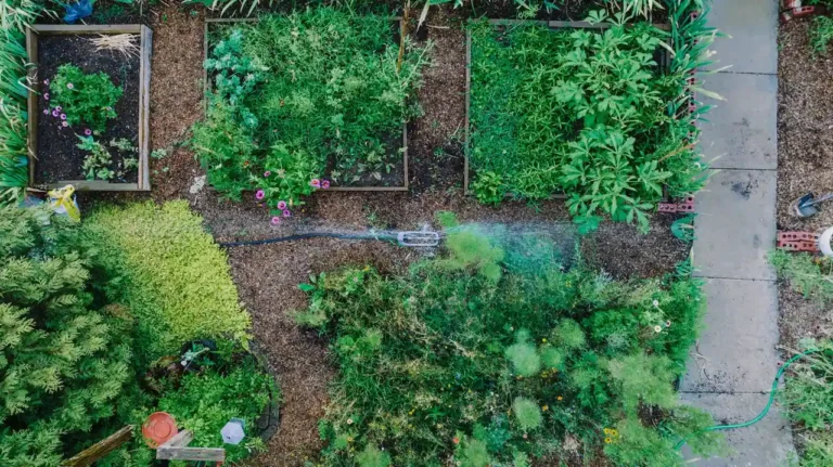 Calendrier du potager mois par mois : ce que le PDF ne dit pas