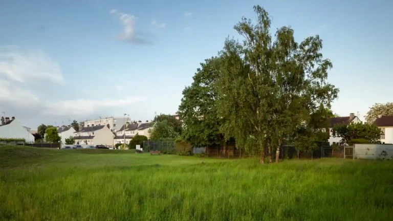 Maison neuve à Bordeaux : ce que le sol impose avant le reste